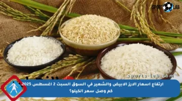 ارتفاع أسعار الأرز الأبيض والشعير في السوق السبت 2 أغسطس 2025.. كم وصل سعر الكيلو؟